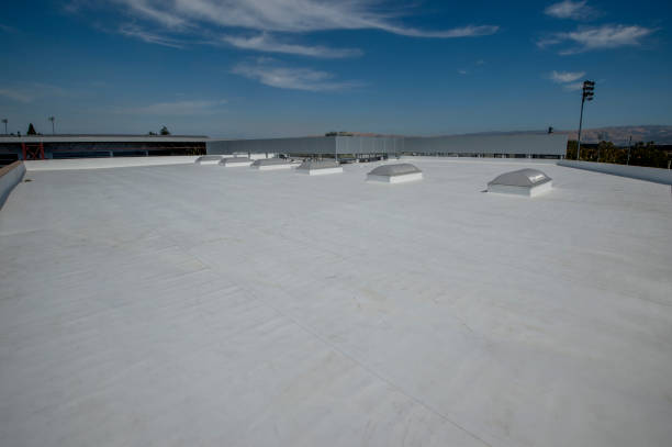 Best Roof Moss and Algae Removal  in Port Arthur, TX